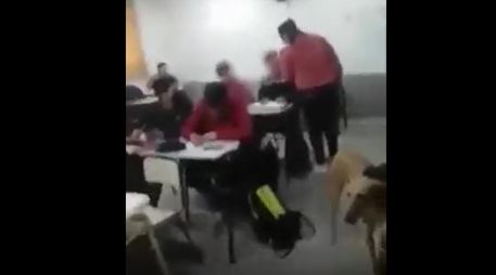 En el video se observa cómo la madre enfrenta al supuesto bravucón de su hijo en el salón de clases/ ESPECIAL