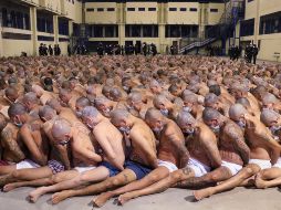 Resaltan que la captura de pandilleros ha logrado reducir los índices de homicidios, extorsiones, tenencia de armas y drogas. AP/ARCHIVO