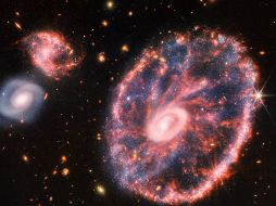 La imagen es una muestra de la vida insospechada que existe en el universo. EFE/NASA