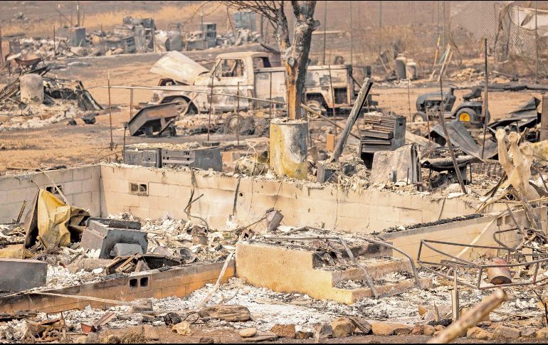El fuego ha destruido más de 22 mil hectáreas de bosque. AFP