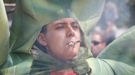 La marihuana y sus usos siguen abriendo debates a lo largo del mundo. EL INFORMADOR/ARCHIVO
