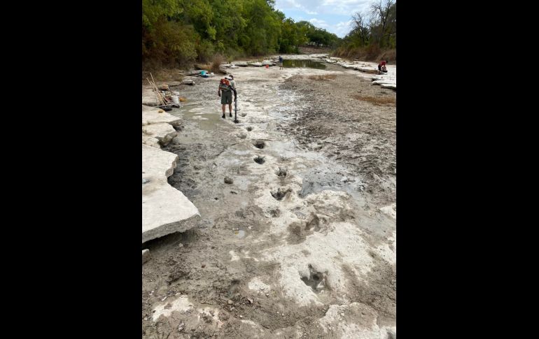 En el video se observa el río que está totalmente seco, mientras que al caminar se logran apreciar grandes huellas. AFP/Dinosaur Valley State Park