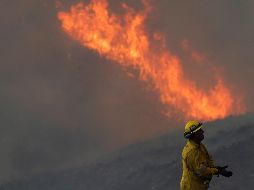 El incendio se apoderó de dos mil hectáreas cerca de Los Ángeles y el combate contra las llamas fue asistido por aviones rociadores Super Scooper. AP / ARCHIVO