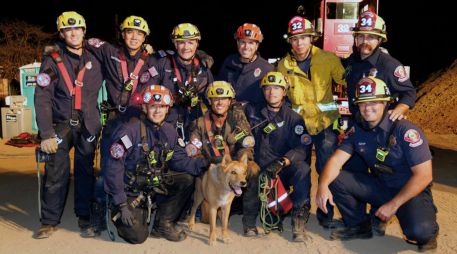 El orgulloso equipo de rescate posa con el perrito, que no presentó lesiones tras el accidente. AP/Departamento de Bomberos de Pasadena