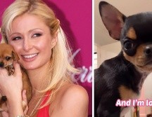 Paris Hilton contrata a un equipo de detectives, drones y hasta una clarividente para encontrar a su perrita desaparecida. EFE/Mario Guzmán