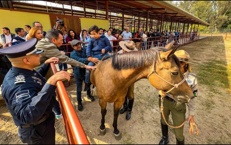 El alcalde de Guadalajara, Pablo Lemus, detalló que serán tres caballos los que se destinarán a dar las equinoterapias y dos oficiales certificados para dar estas clínicas. EL INFORMADOR/A. Navarro