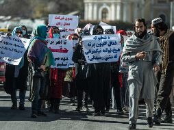 A pesar de prometer en un inicio un gobierno más moderado y respetar los derechos de las mujeres y las minorías, los talibanes han limitado los derechos y libertades. AFP