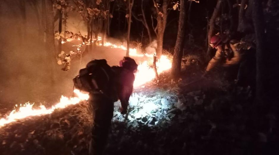 Bomberos de Zapopan controlan incendio en La Primavera