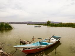 Salvador Zamora aseguró que la meta es que para el final de su gobierno la laguna de Cajititlán estésaneada en un 100 por ciento. EL INFORMADOR/ARCHIVO