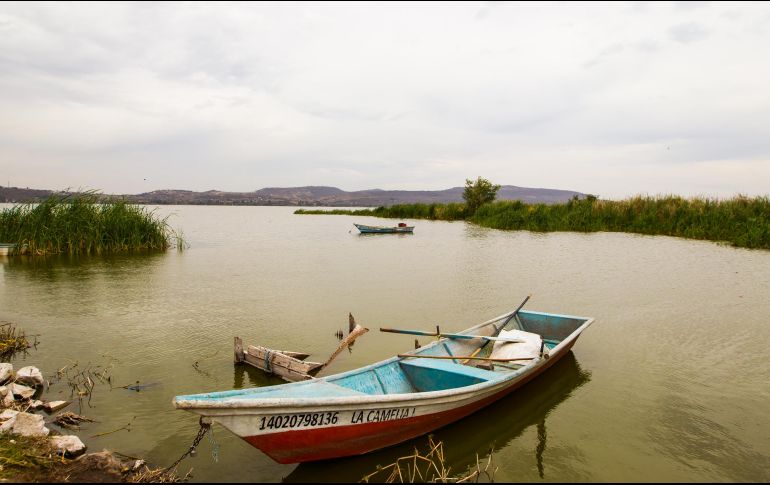Salvador Zamora aseguró que la meta es que para el final de su gobierno la laguna de Cajititlán estésaneada en un 100 por ciento. EL INFORMADOR/ARCHIVO
