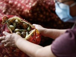 El kilo de cebollas alcanzó los US$11 en Filipinas. ROLEX DELA PENA/EPA-EFE/REX/Shutterstock