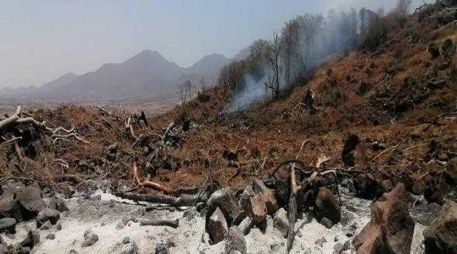 La capacidad para recuperar esa área afectada tardará más de seis años, eso sin que implique estar en su estado original. ESPECIAL / Fiscalía de Jalisco