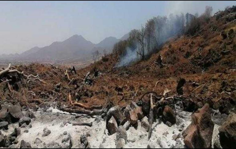 La capacidad para recuperar esa área afectada tardará más de seis años, eso sin que implique estar en su estado original. ESPECIAL / Fiscalía de Jalisco