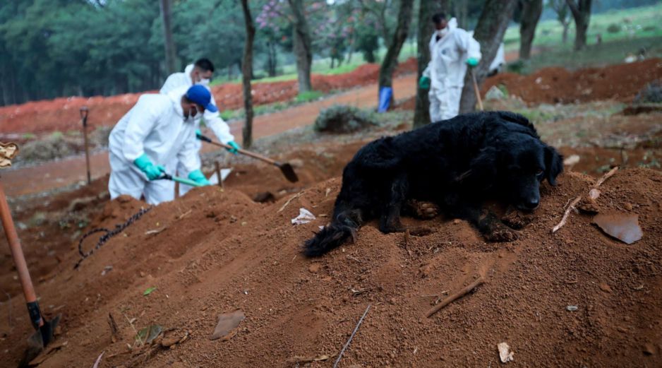 Con ayuda de un par de caninos descubrieron los cuerpos enterrados. EFE/ ARCHIVO