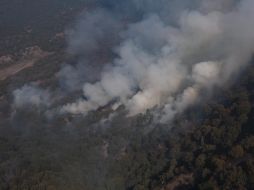 Tras 49 horas de labores de combate, la tarde del viernes, más de 303 brigadistas lograron extinguir el incendio que afectó el paraje Los Volcanes del Bosque La Primavera. ESPECIAL / Coordinación General de Gestión del Territorio