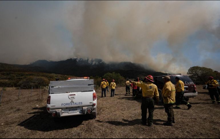 El último incendio en La Primavera fue combatido por más de 49 horas y quemó 500 hectáreas del bosque. ESPECIAL