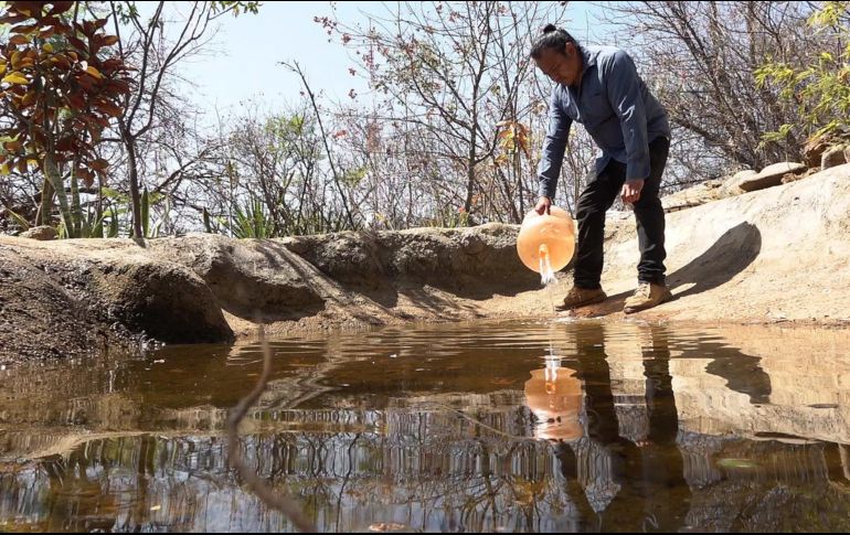El ambientalista Carlos Alberto Morales vierte agua en un oasis el 21 de marzo de 2023, en el estado de Oaxaca. EFE/J. Méndez