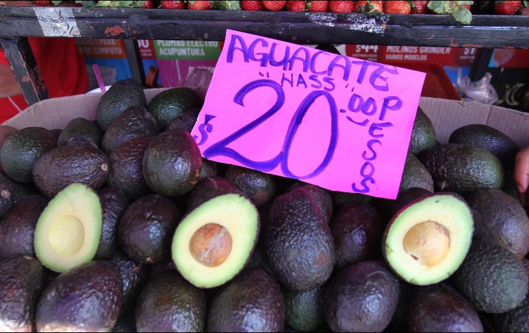 Se recibieron apenas 462 millones de dólares por el total exportado. EL INFORMADOR/ARCHIVO