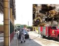 Bomberos ahuyentaron el enjambre de abejas. ESPECIAL