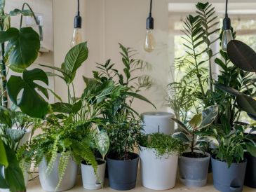 ESPECIAL / Foto de vadim kaipov en Unsplash