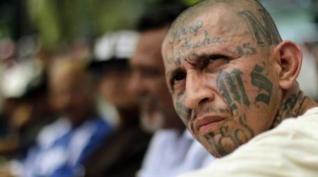 Mara significa pandilla, trucha es inteligente y salva, de El Salvador: Mara Salvatrucha. SUN