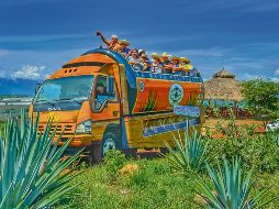 La Ruta del Tequila abarca una superficie de tres mil 029 kilómetros cuadrados. CORTESÍA