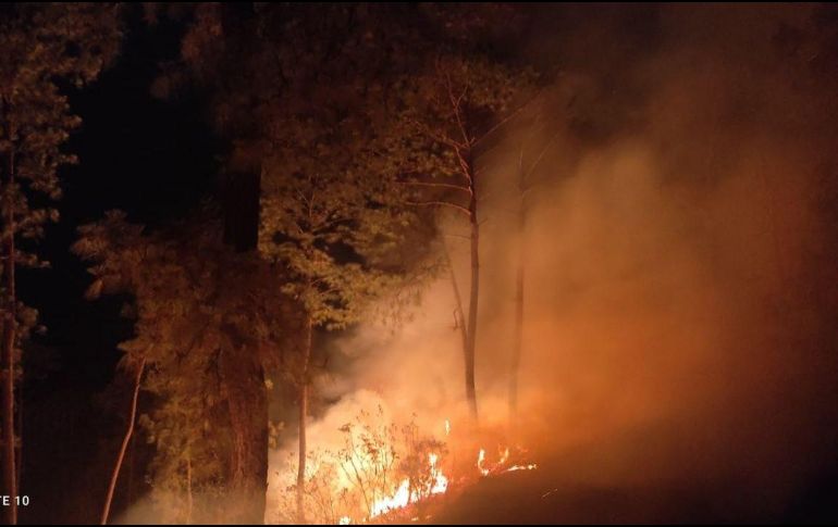 En el incendio forestal en el municipio de Concepción de Buenos Aires hay 70 brigadistas. ESPECIAL