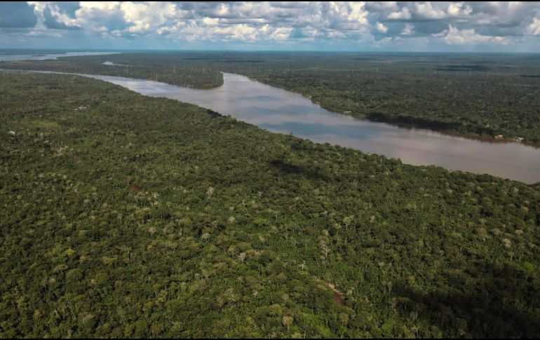 Imagen aérea de una zona de la Floresta Amazónica, en el estado de Pará, al norte de Brasil. ARCHIVO/EFE