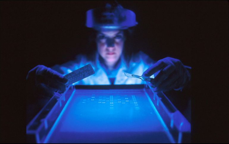 Bloquear las funciones antivirales de la proteína podría permitir al sistema inmunitario y a los fármacos eliminar mejor los reservorios de VIH, concluyó una de las autoras. ESPECIAL/Unsplash