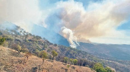 Ayer se continuaba con el combate al incendio forestal en El Arenal y Zapopan. ESPECIAL