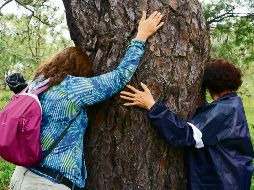 Especialistas recomiendan tener contacto frecuente con la naturaleza. EL INFORMADOR/ A. Navarro