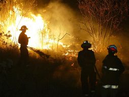 Los incendios forestales tuvieron un repunte en Jalisco durante la temporada de estiaje de 2023, previo al inicio de las lluvias. EL INFORMADOR / ARCHIVO