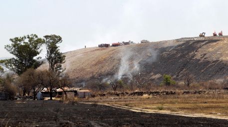 El incendio en Los Laureles está controlado y ya no representa riesgo para la población, sin embargo, los trabajos para apagarlo continúan. EL INFORMADOR/A. Camacho