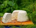 El queso panela es el clásico queso fresco, suave y blanco de leche de vaca pasteurizada. Normalmente, es servido como aperitivo o bocadillos. ESPECIAL / Foto de Aleksey Melkomukov en Unsplash