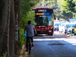 Nuevo reglamento vial deja sin sanciones a los ciclistas