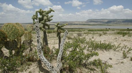 El nombre del municipio de los Altos Norte deriva de la abundancia de ojos de agua en el lugar. EL INFORMADOR / ARCHIVO