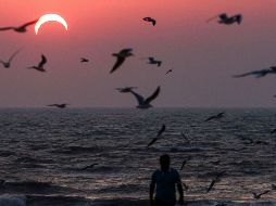 El eclipse solar anular será el próximo 14 de octubre y la mejor visibilidad la tendrán los estados de la Península de Yucatán. EL INFORMADOR/ ARCHIVO.