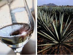 Ahora existen en el mercado tequilas, además de la variedad de blanco, reposado, añejo y cristalino, que van acompañados de sabor a frutas. EL INFORMADOR / AFP / ARCHIVO