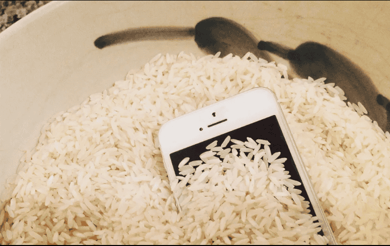 Esto es todo lo que debes de saber sobre meter tu celular al arroz. ESPECIAL