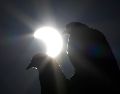 El Instituto Nacional de Astrofísica Óptica y Electrónica (INAOE) señala que el eclipse solar tendrá una proyección total sólo en algunos estados del sur de México, mientras que en el resto del país se verá parcial. EFE/ Archivo.
