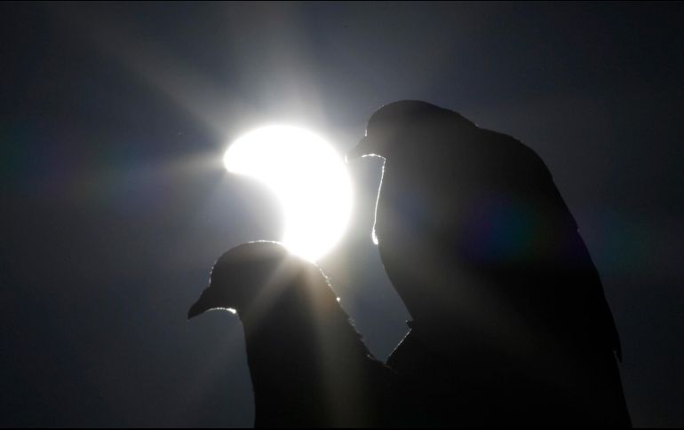 El Instituto Nacional de Astrofísica Óptica y Electrónica (INAOE) señala que el eclipse solar tendrá una proyección total sólo en algunos estados del sur de México, mientras que en el resto del país se verá parcial. EFE/ Archivo.