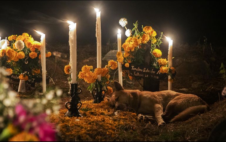 México celebra el 1 y 2 de noviembre a Todos lo Santos y a los Fieles Difuntos. AFP / ARCHIVO