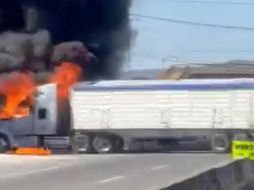 Enfrentamiento en Ocotlán desata bloqueos y quema de vehículos