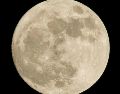 Tenemos Luna llena cuando el lado de la Luna que mira hacia la Tierra está completamente iluminado por el Sol. UNSPLASH / P. LASTRA