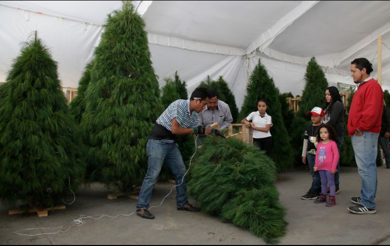 El árbol de Navidad representa la festividad de la temporada y colabora a la generación de un ambiente ideal para acercar a la familia, además de que se convierte en el depósito de regalos. NTX / ARCHIVO