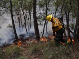 La Coordinación Municipal de Protección Civil y Bomberos de Zapopan precisó que se tratan de acciones preventivas y no de un incendio. ESPECIAL / PCyB de Zapopan