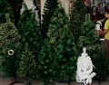 Los precios de los árboles de Navidad varían en tipos, tamaños y colores. EL INFORMADOR / ARCHIVO