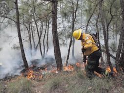 Israel García afirmó que la cifra de Conafor sobre incendios forestales en Jalisco no es la correcta. ESPECIAL