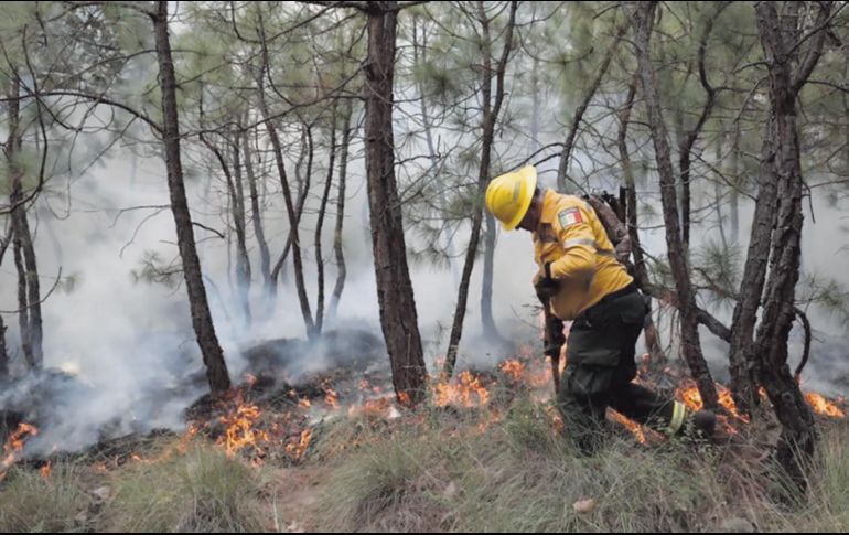 Israel García afirmó que la cifra de Conafor sobre incendios forestales en Jalisco no es la correcta. ESPECIAL