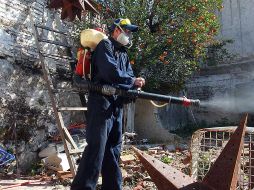 El dengue repunta en Jalisco; prevén año con alta incidencia